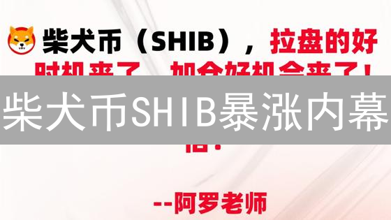 柴犬币SHIB暴涨内幕：下一个百倍币？三大关键点深度剖析！