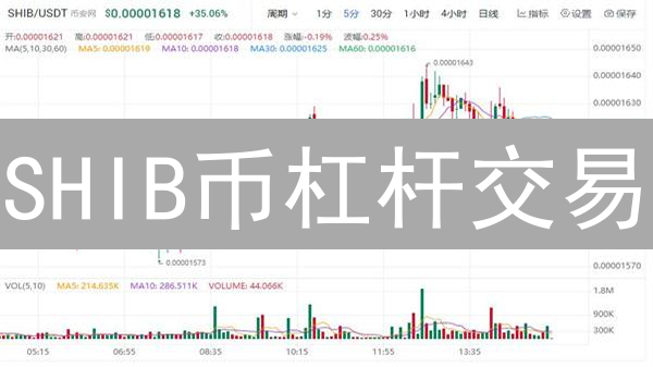 SHIB币杠杆交易：中国投资者的高风险游戏？