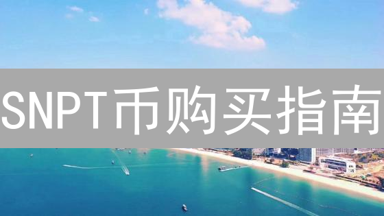 SNPT币购买指南：新手入门与高级交易策略