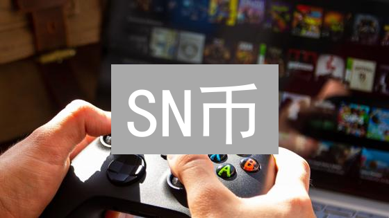 SN币：去中心化社交网络的基石与用户赋权