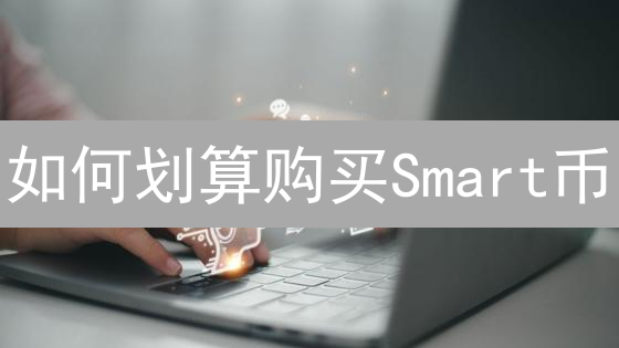 如何划算购买Smart币？Smart币应用场景深度解析与购买指南