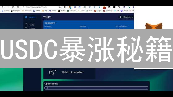 USDC暴涨秘籍：稳赚不赔？揭秘数字美元的金融新机遇！