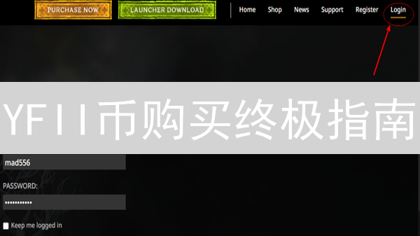 YFII币购买终极指南：新手必看！【2024最新】